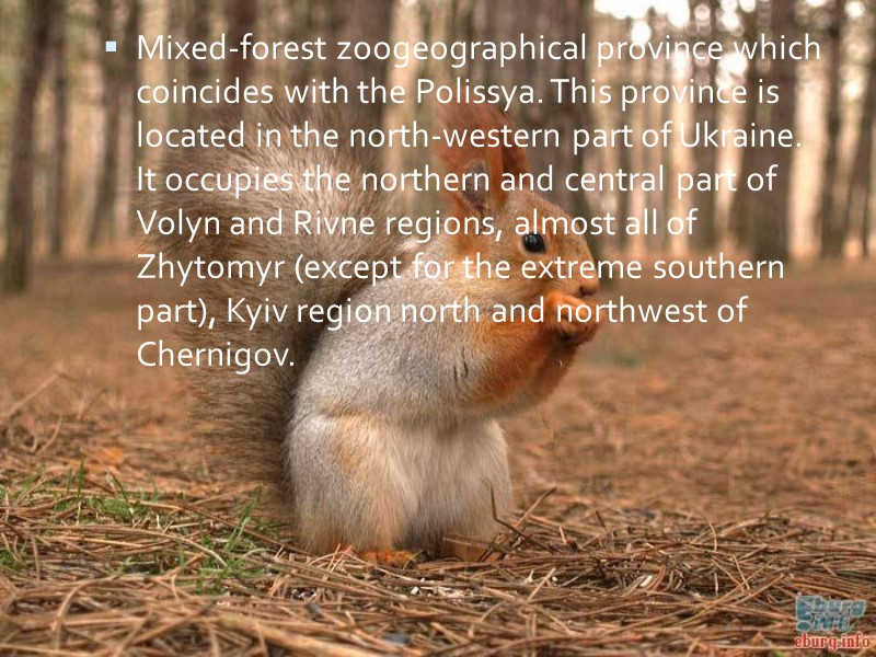 Mixed-forest zoogeographical province which coincides with the Polissya. This province is located in the